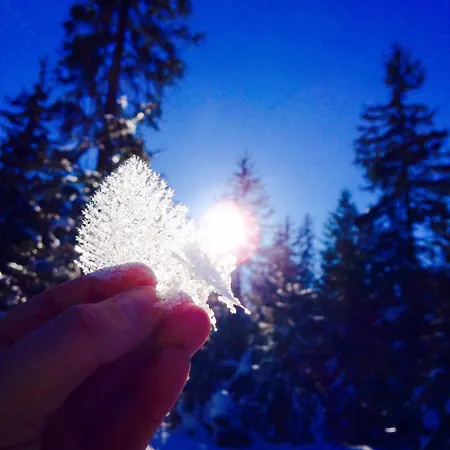 公寓 克拉巴赫公寓